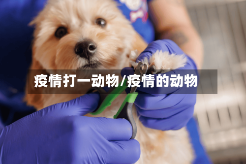 疫情打一动物/疫情的动物-第1张图片