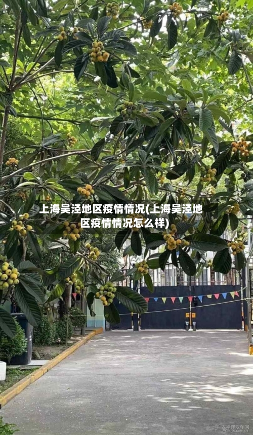 上海吴泾地区疫情情况(上海吴泾地区疫情情况怎么样)-第1张图片