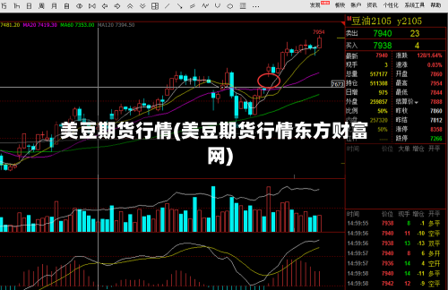 美豆期货行情(美豆期货行情东方财富网)-第2张图片