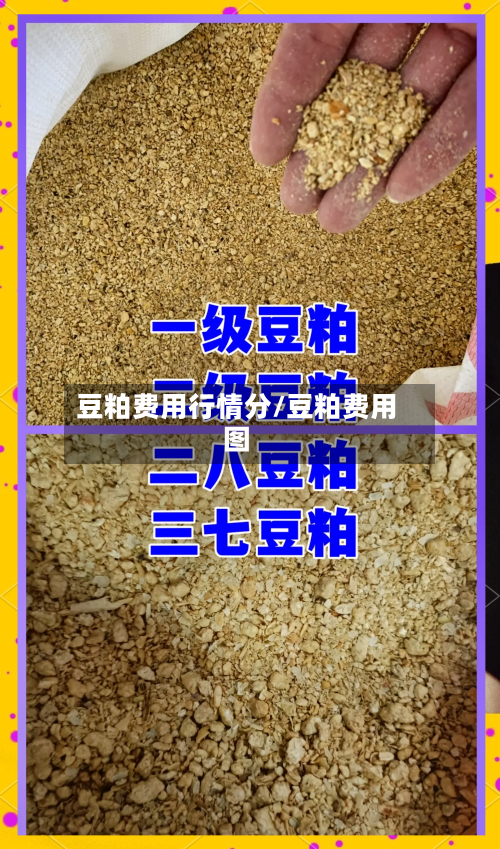 豆粕费用行情分/豆粕费用图-第1张图片