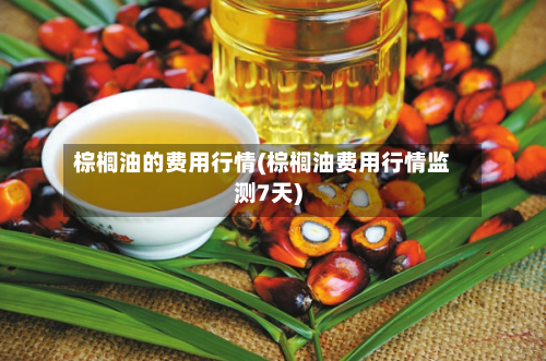 棕榈油的费用行情(棕榈油费用行情监测7天)-第3张图片