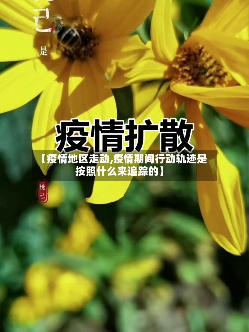 【疫情地区走动,疫情期间行动轨迹是按照什么来追踪的】-第2张图片