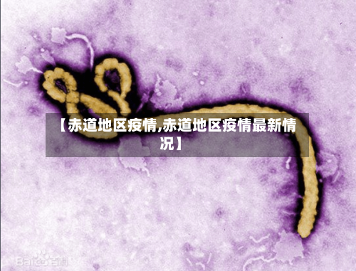 【赤道地区疫情,赤道地区疫情最新情况】-第1张图片