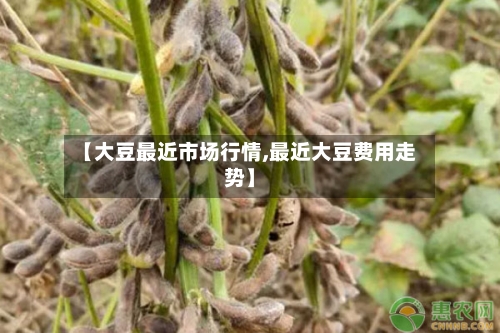 【大豆最近市场行情,最近大豆费用走势】-第1张图片