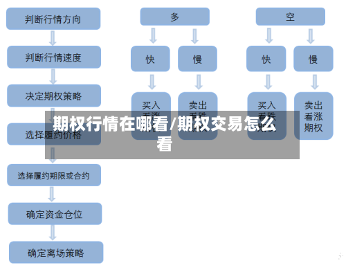 期权行情在哪看/期权交易怎么看-第2张图片