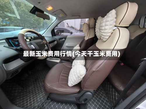 最新玉米费用行情(今天干玉米费用)-第2张图片