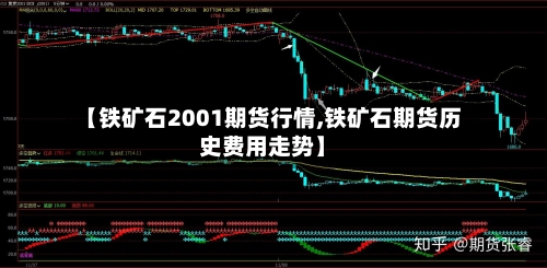【铁矿石2001期货行情,铁矿石期货历史费用走势】-第1张图片