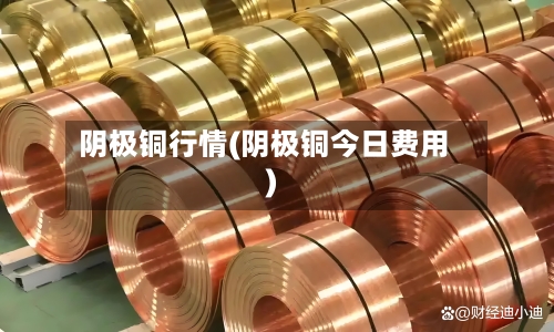 阴极铜行情(阴极铜今日费用)-第2张图片