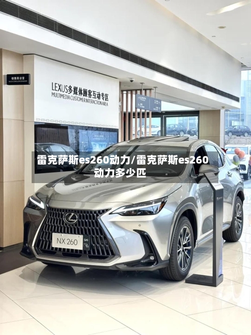 雷克萨斯es260动力/雷克萨斯es260动力多少匹-第2张图片