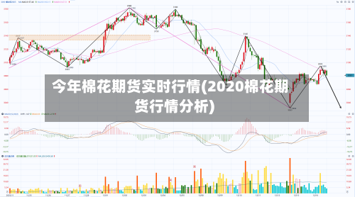 今年棉花期货实时行情(2020棉花期货行情分析)-第1张图片