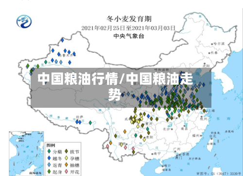中国粮油行情/中国粮油走势-第2张图片