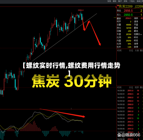 【螺纹实时行情,螺纹费用行情走势】-第2张图片