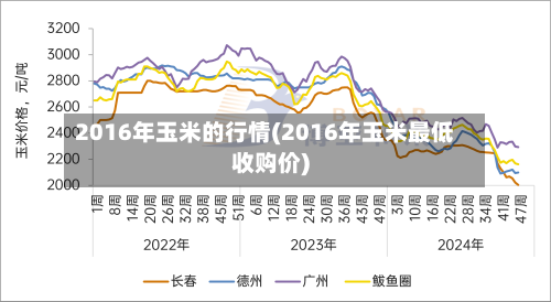 2016年玉米的行情(2016年玉米最低收购价)-第2张图片
