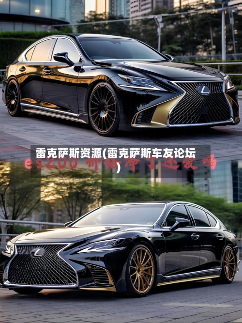 雷克萨斯资源(雷克萨斯车友论坛)-第1张图片