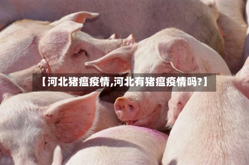 【河北猪瘟疫情,河北有猪瘟疫情吗?】-第2张图片