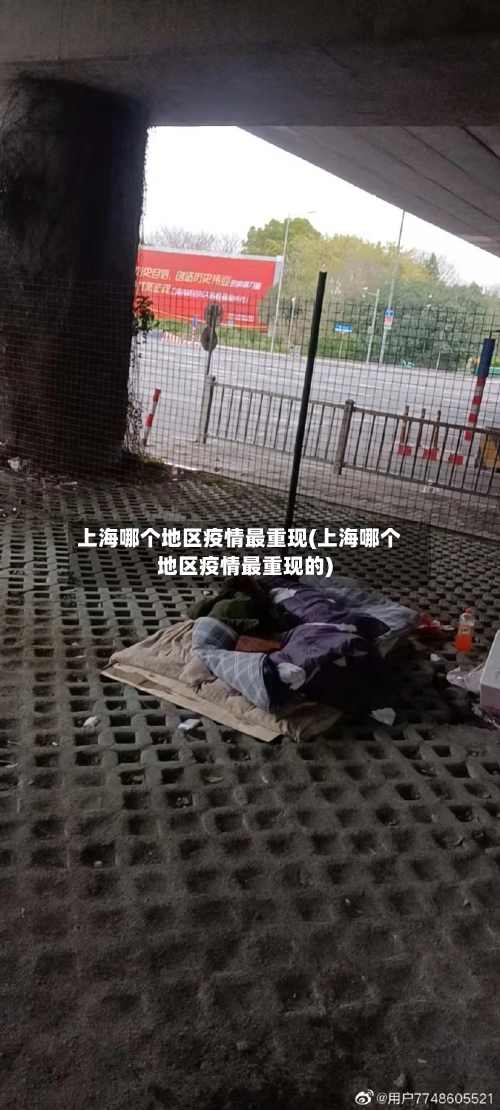 上海哪个地区疫情最重现(上海哪个地区疫情最重现的)-第1张图片