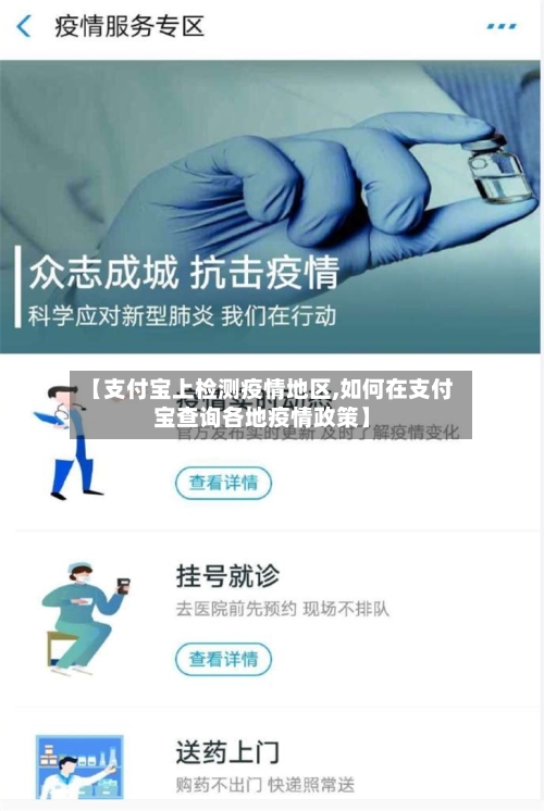 【支付宝上检测疫情地区,如何在支付宝查询各地疫情政策】-第2张图片