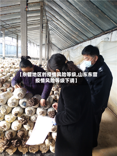 【东营地区的疫情风险等级,山东东营疫情风险等级下调】-第1张图片