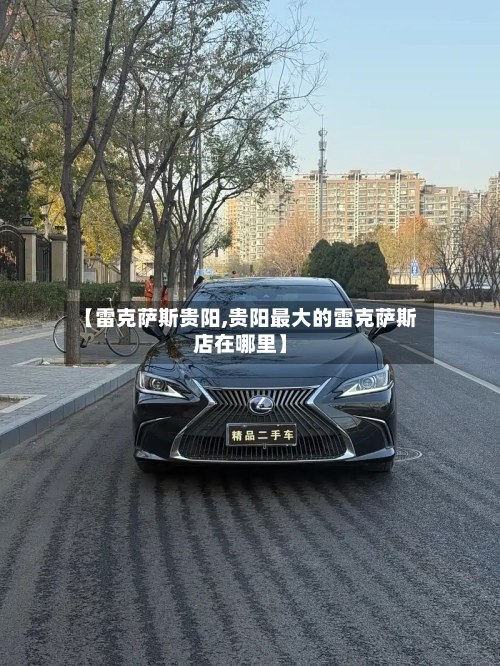 【雷克萨斯贵阳,贵阳最大的雷克萨斯店在哪里】-第3张图片