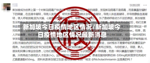 新加坡今日疫情地区情况/新加坡今日疫情地区情况最新消息-第1张图片