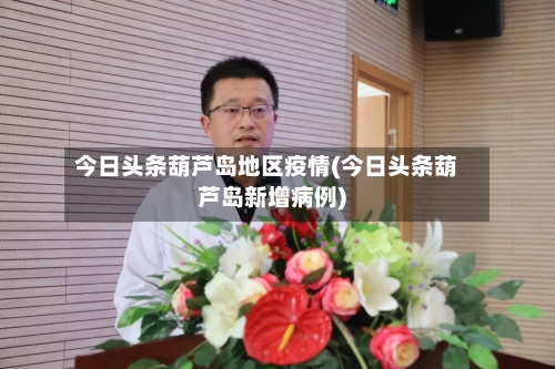 今日头条葫芦岛地区疫情(今日头条葫芦岛新增病例)-第2张图片