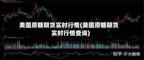 美国原糖期货实时行情(美国原糖期货实时行情查询)-第1张图片