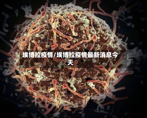 埃博拉疫情/埃博拉疫情最新消息今天-第1张图片