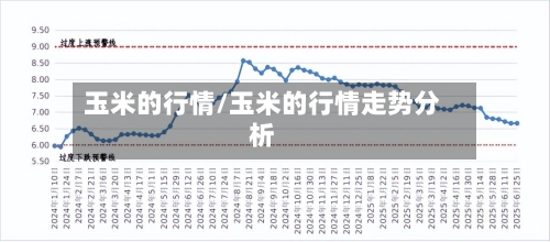 玉米的行情/玉米的行情走势分析-第1张图片