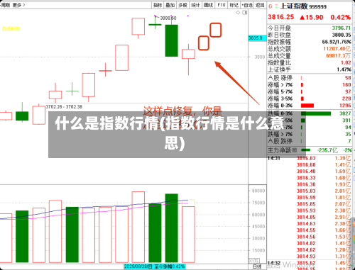什么是指数行情(指数行情是什么意思)-第3张图片