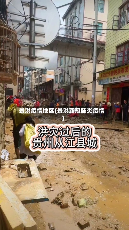 景洪疫情地区(景洪新冠肺炎疫情)-第2张图片