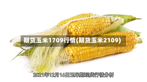 期货玉米1709行情(期货玉米2109)-第1张图片
