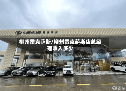 柳州雷克萨斯/柳州雷克萨斯店总经理收入多少-第2张图片