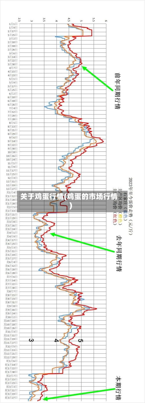 关于鸡蛋行情(鸡蛋的市场行情)-第1张图片