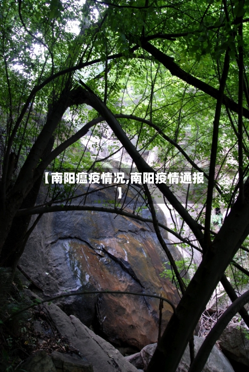 【南阳瘟疫情况,南阳疫情通报】-第2张图片