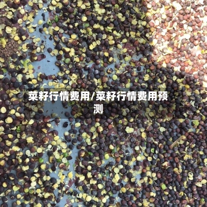 菜籽行情费用/菜籽行情费用预测-第1张图片