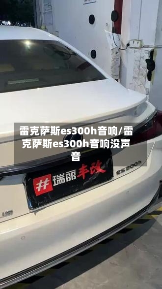 雷克萨斯es300h音响/雷克萨斯es300h音响没声音-第1张图片
