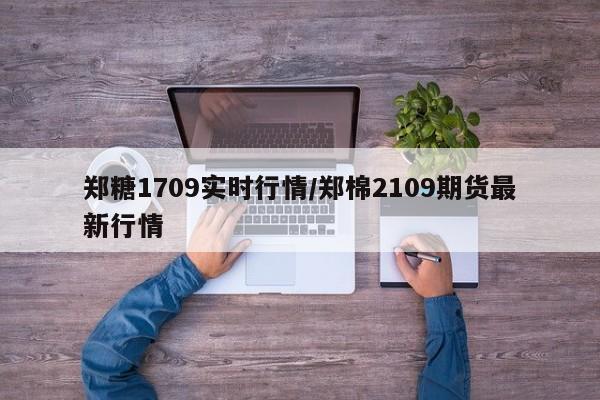 郑糖1709实时行情/郑棉2109期货最新行情